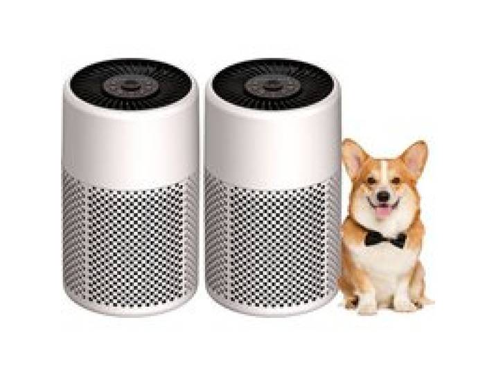 Lot De 2 Purificateurs DAir Filtre HEPA Anti-Odeurs Fumée Squames DAnimaux Petit Format Mode Veille Pour Maison