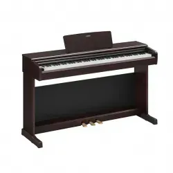 Arius YDP-146 R Rosenholz