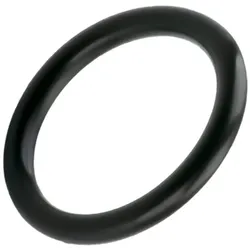 Lapp Zubehör SKINDICHT-O-RING-M20- O-RING M20/17x2