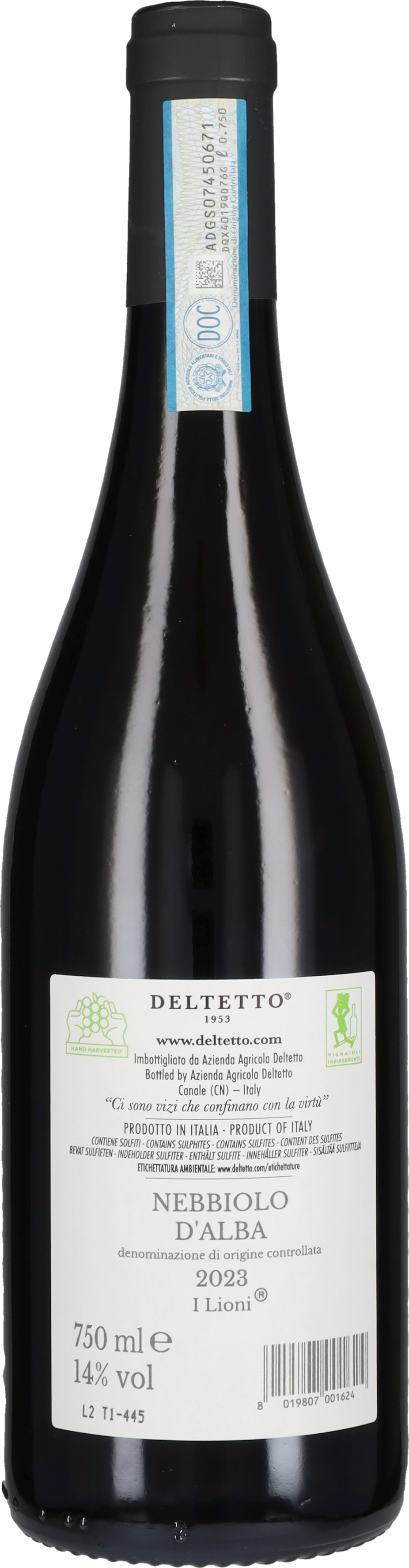 Nebbiolo d’Alba 'I Lioni' Deltetto 2024