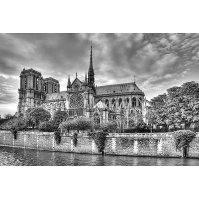 Fototapete PAPERMOON "Notre Dame Schwarz & Weiß", schwarz (schwarz, weiß), B:3,5m L:2,6m, Vlies, Tapeten