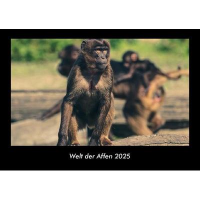 Welt der Affen 2025 Fotokalender DIN A3