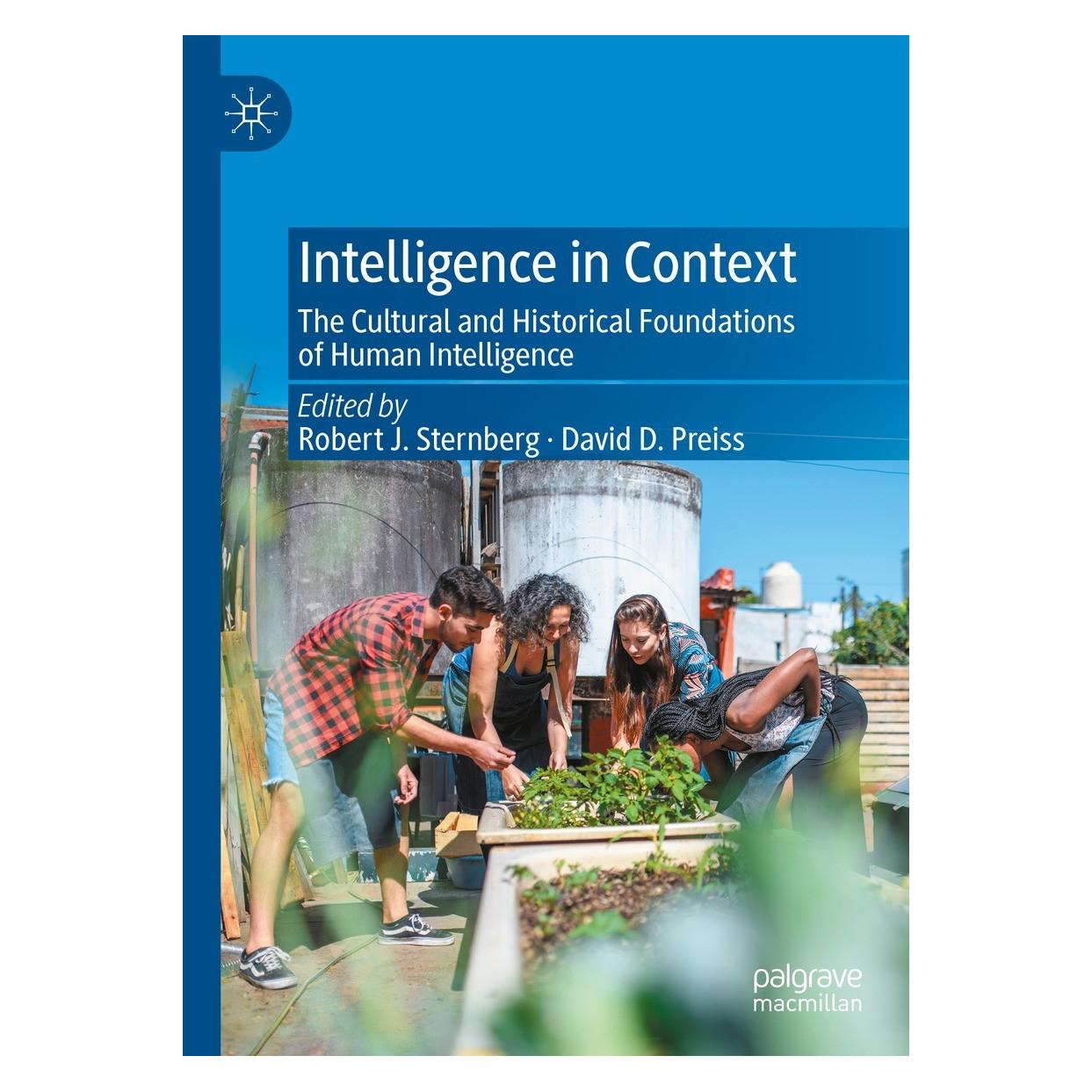 Springer Intelligence in Context (Englisch, Hardcover, David D. Preiss, Robert J. Sternberg) (9783030927974)