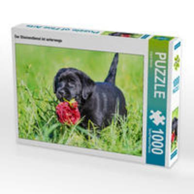 CALVENDO Puzzle Der Blumendienst ist unterwegs 1000 Teile Lege-Größe 64 x 48 cm Foto-Puzzle Bild von Sigrid Starick