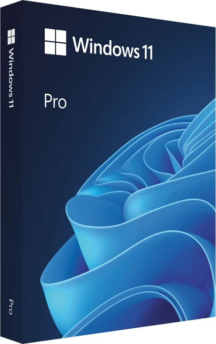 Microsoft Windows 11 PRO - EN - USB (FPP)