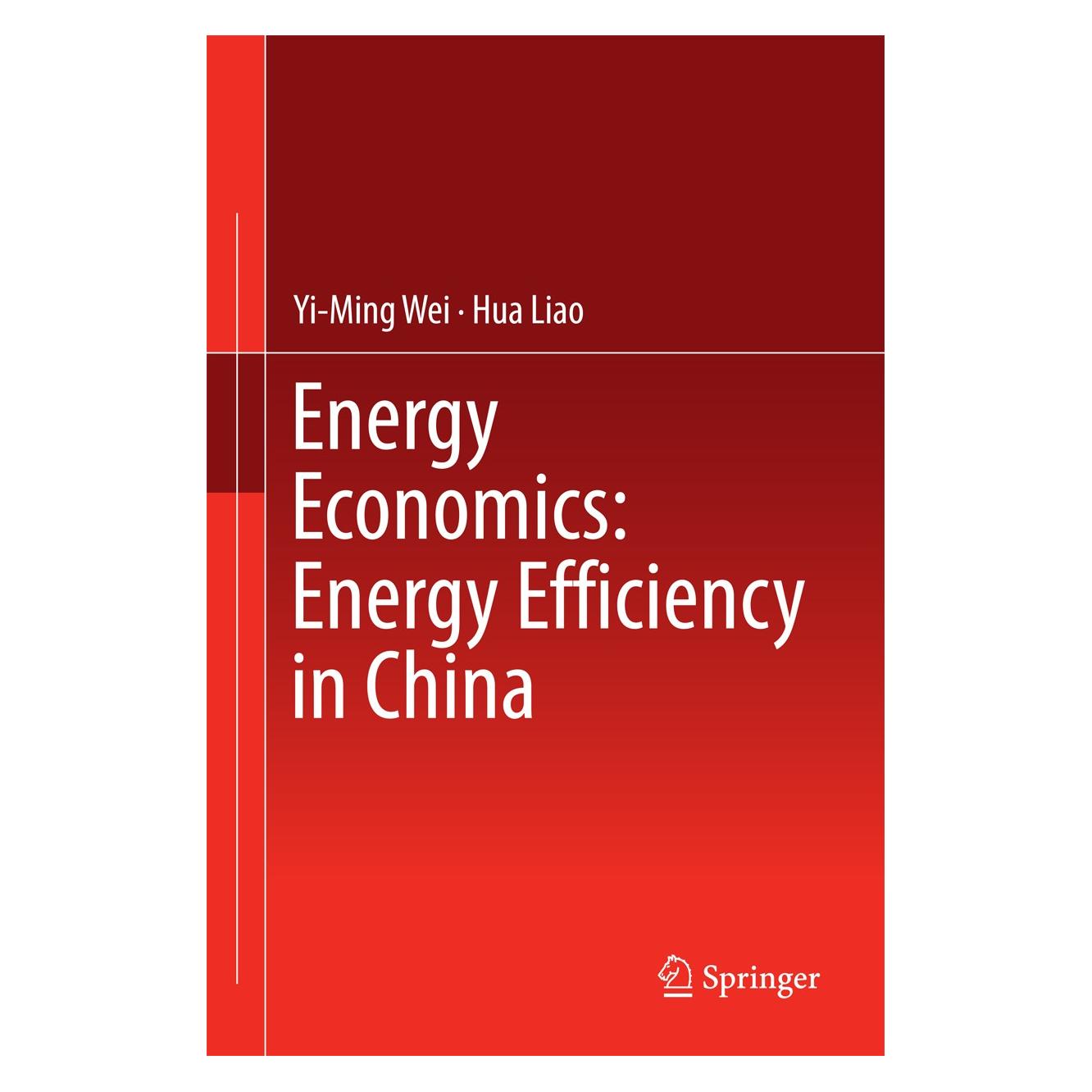 Springer Wei:Energy Economics: Energy Efficiency (9783319446295)