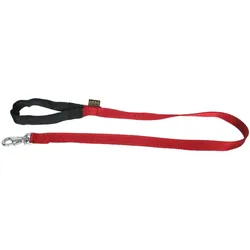 Arka Rubi (Hund, Allgemein, Hundesport, Spazieren), Halsband + Leine