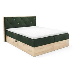 BOXBETT Helios