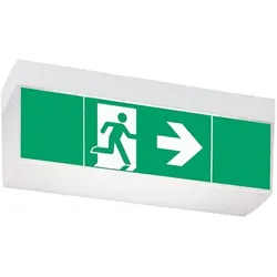 Ceag, Sicherheitskennzeichnung, Notl. LED-Rettungszeichenleuchte StyleII51021LEDCG-S