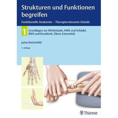 Strukturen und Funktionen begreifen, Funktionelle Anatomie, Gebundene Ausgabe von Jutta Hochschild, Thieme, 978-3-13-242672-6