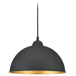 Schienensystem-Hängeleuchte Jimmy Schwarz max. 25 Watt