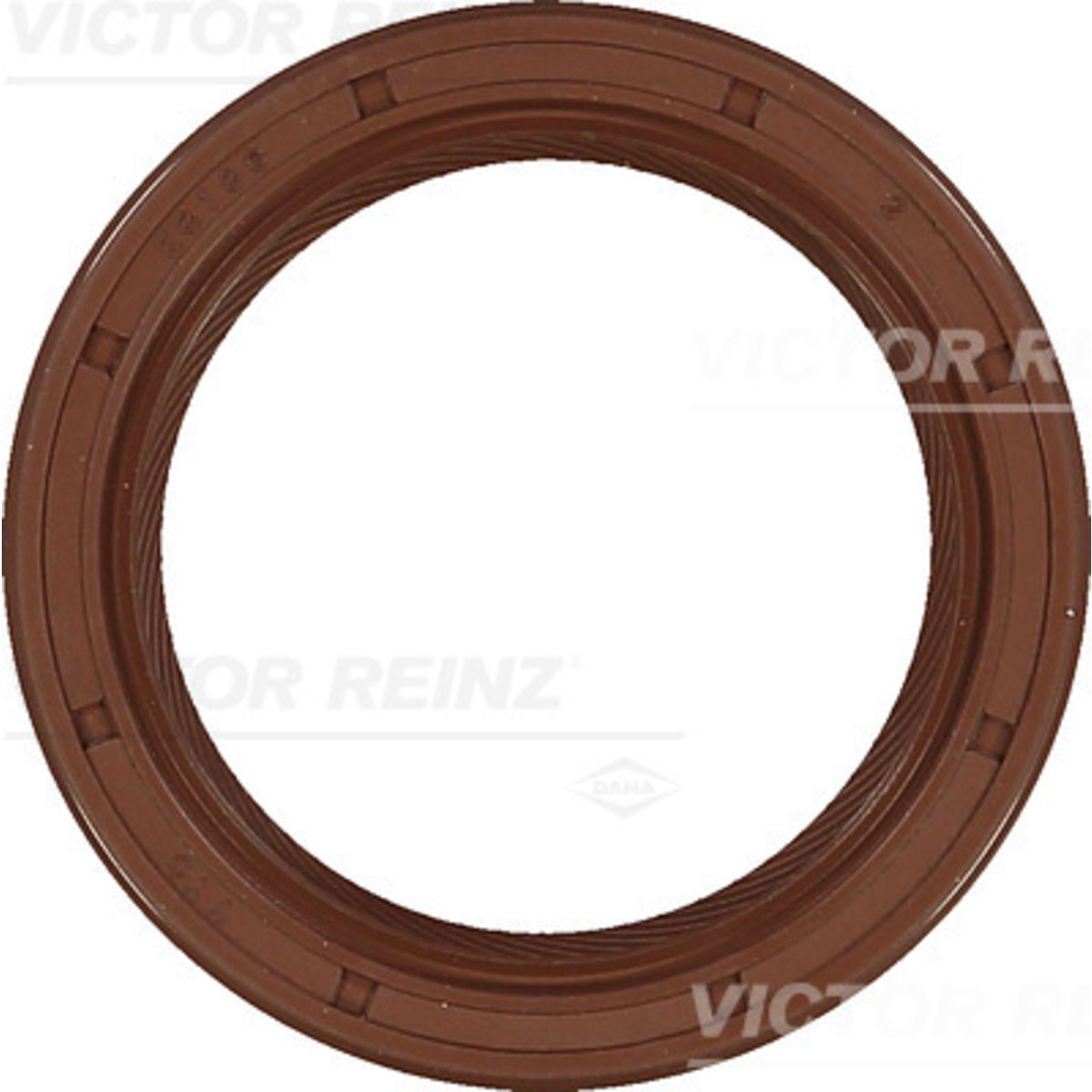 Victor Reinz Paraolio, albero motore REINZ 81-53718-00