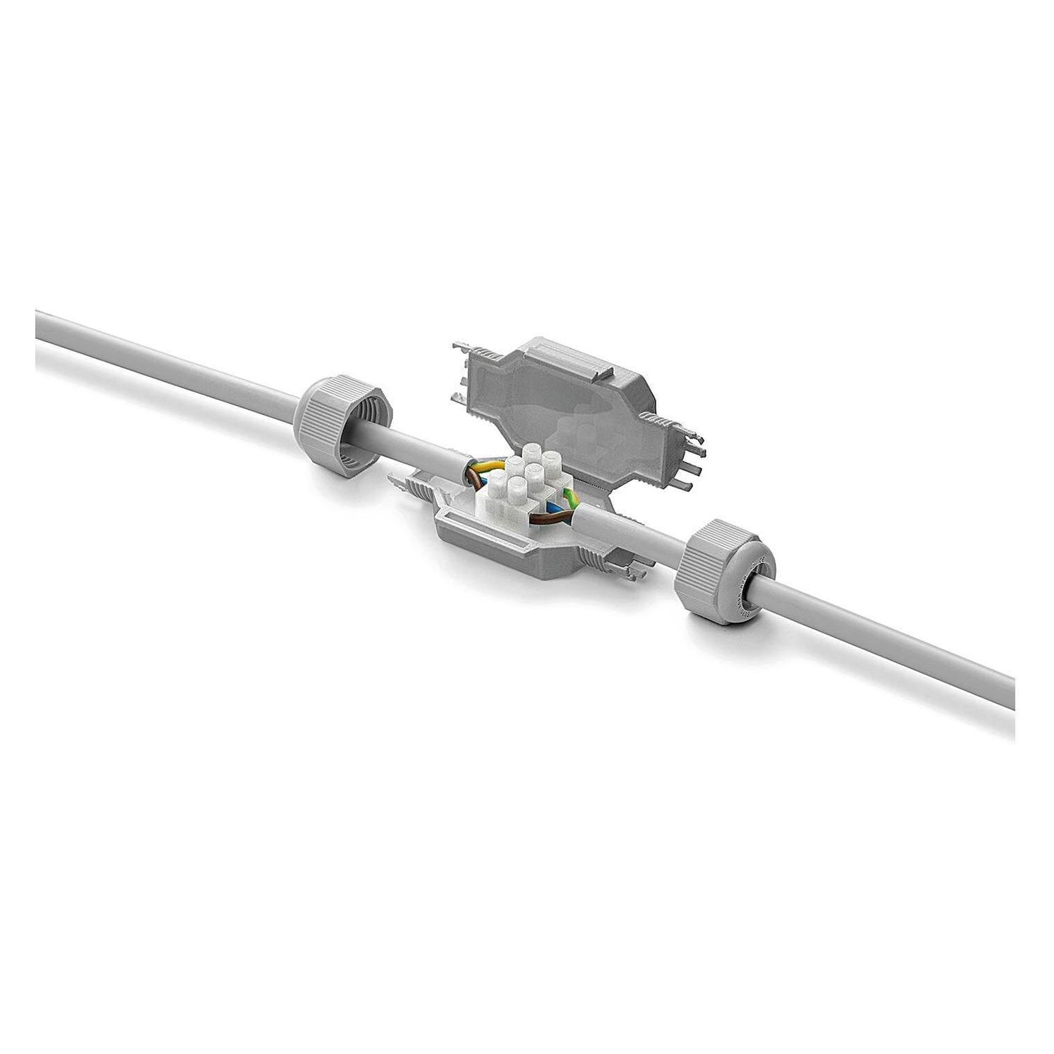 Raytech Gel Box Fred (55 00007)