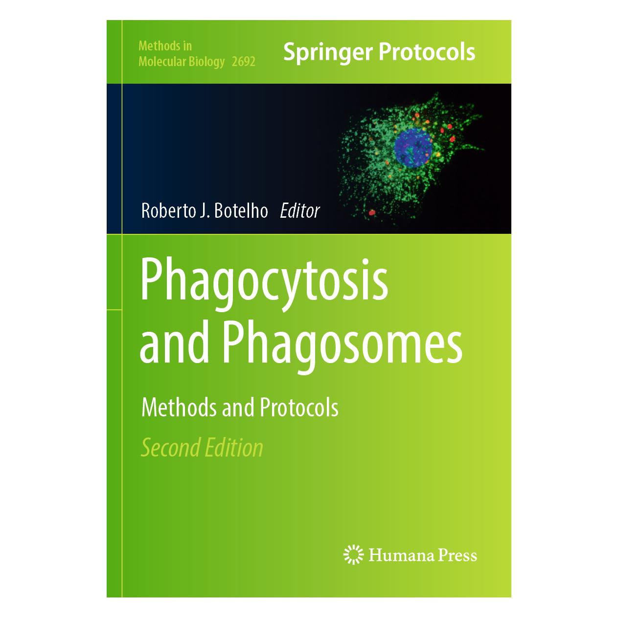 Springer Phagocytosis and Phagosomes (Englisch, Softcover, Roberto J. Botelho) (57091479)