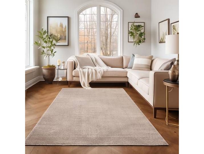 Tapis Unicolor Beige 280 x 370 cm\, Style Moderne pour Salon