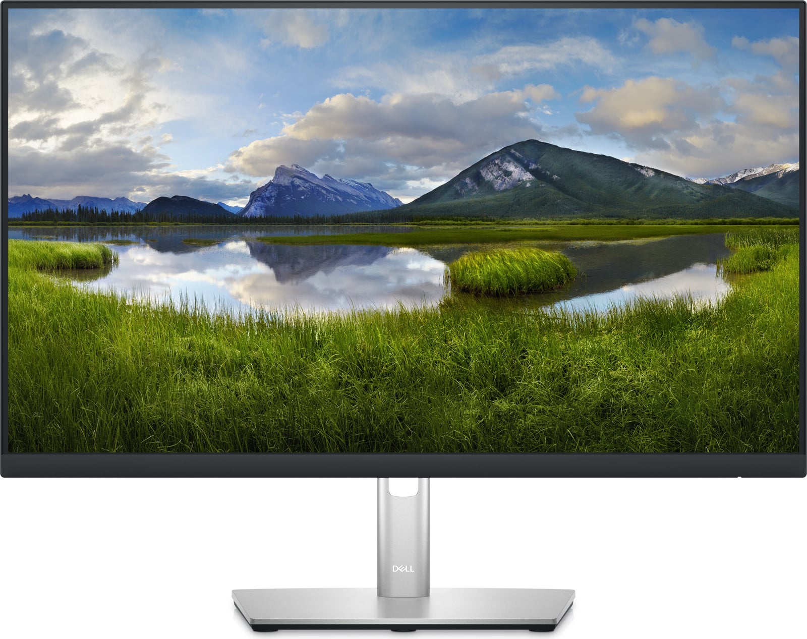 Dell P2423D Widescreen Monitor 60,5 cm (23,8 inch) zwart