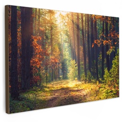 LEINWANDBILD Wald - Herbst - Bäume Wanddeko 90x60 cm