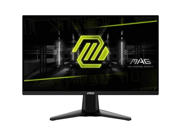 Ecran PC gamer 25'' MAG 255F E20 MSI