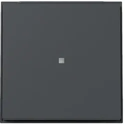 Gira Wippe Kontrollf. (WG UP) Anthrazit 329067