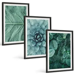 BILDER SET 3er Set - 40x60 cm Schwarzer Rahmen - Nahaufnahme von Pflanzenblättern