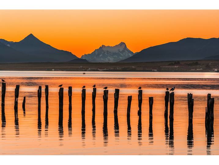 Fototapete PAPERMOON PUERTO NATALES-CHILE SEE GEBIRGE BLUMEN SONNE WALD STEG , bunt, B:3,5m L:2,6m, Vlies, Tapeten, Fototapete