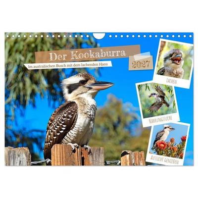 Der Kookaburra - Im australischen Busch mit dem lachenden Hans (Wandkalender 2027 DIN A4 quer), CALVENDO Monatskalender