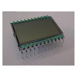 Display Elektronik LCD-Display DE123TU-30/7.5 DE123TU-30/7,5