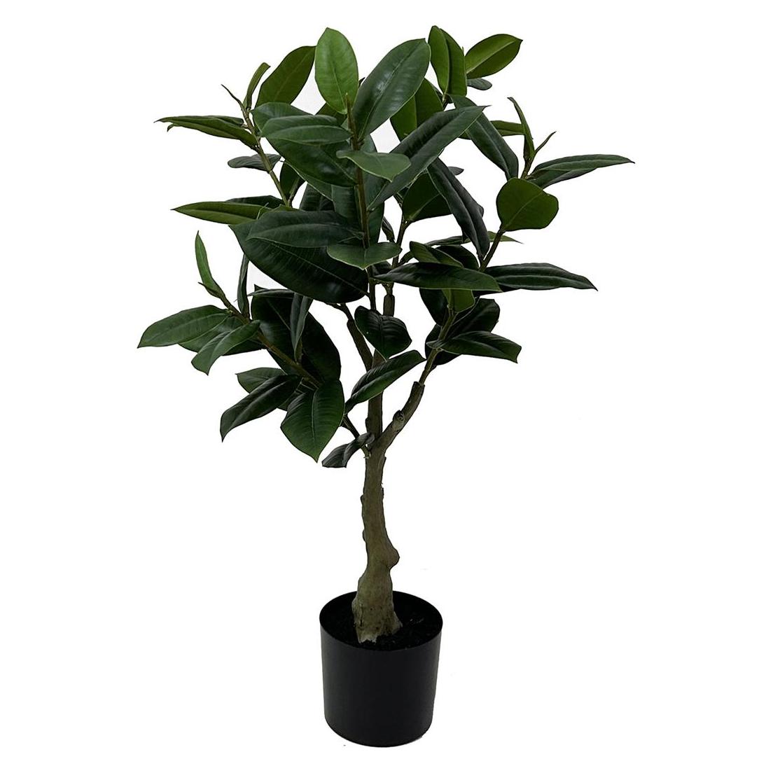 Rubber Tree (69 cm) (49182775)