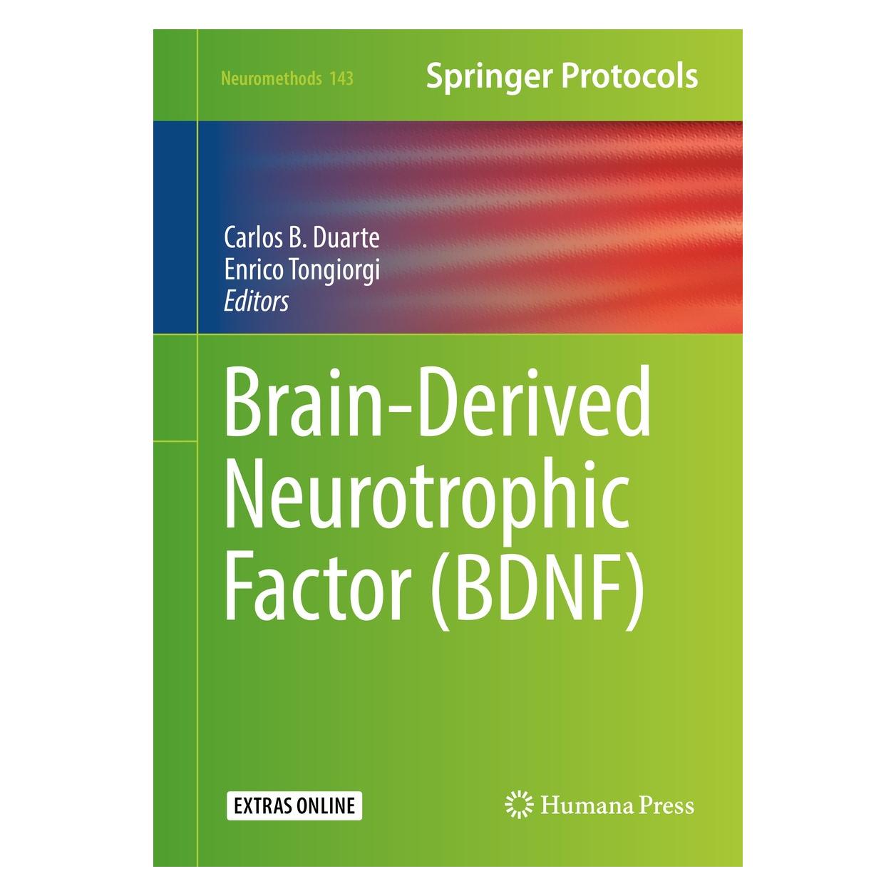 Springer Brain-Derived Neurotrophic Factor (BDNF (Englisch, Hardcover, Carlos B. Duarte, Enrico Tongiorgi) (9781493989690)