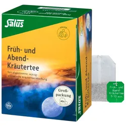 Salus Früh- und Abend-Kräutertee 40 St Filterbeutel