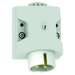 Bals Elektrotechnik 461 461 CEE Wandstecker 16.0 A 2polig 50 V 1 St.