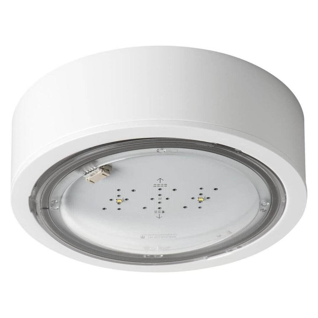 Kanlux 27381 iTECH M5 105 M ST W Notbeleuchtung (31794636)