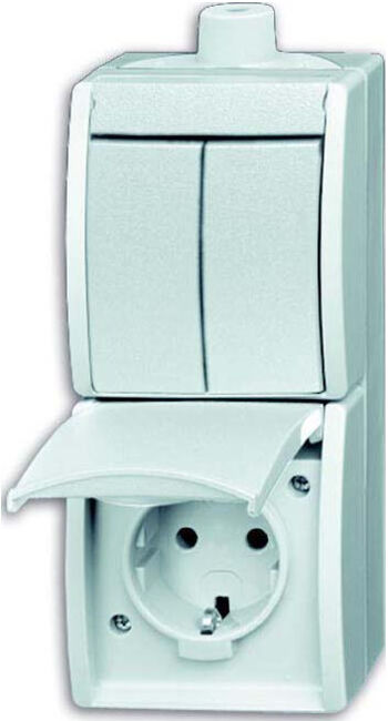 Busch-Jaeger Prise SCHUKO combinée avec interrupteur bascule 2601/5/20EW-54-503 (2CKA001684A0328)