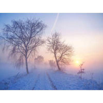 CALVENDO Puzzle Winterlicher Sonnenuntergang im Nebel | 1000 Teile Lege-Größe 64x48cm Foto-Puzzle für glückliche Stunden