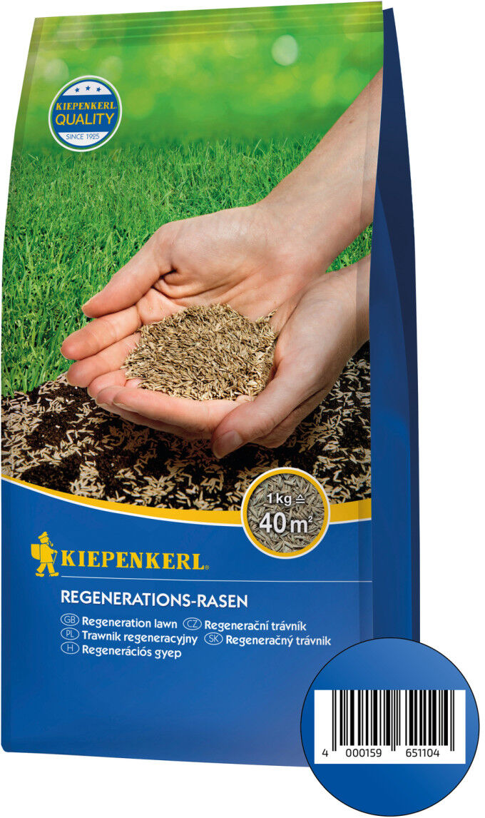 Kiepenkerl Rasensamen Regeneration 1 kg, für 40 m²