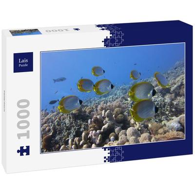 Lais Puzzle Falterfisch 1000 Teile