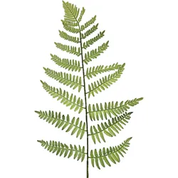 Deko-Zweig Waldfarn 80 cm Kunststoff Grün
