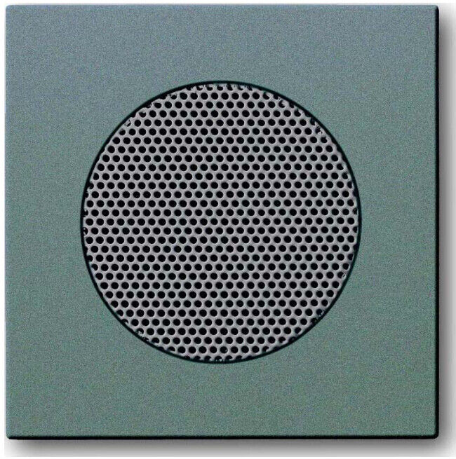 Busch-Jaeger Rosace centrale météorite/gr pour haut-parleur EB 8253-803 (2CKA008200A0115)