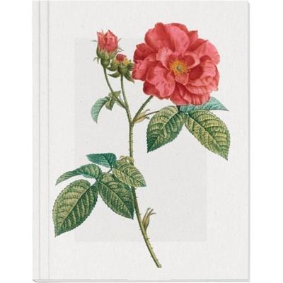 Geschichte der Rose Großes Notizheft Motiv Französische Rose