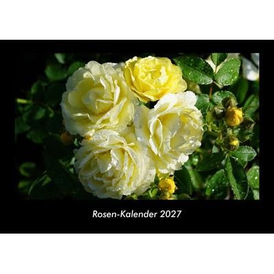 Rosen-Kalender 2027 Fotokalender DIN A3