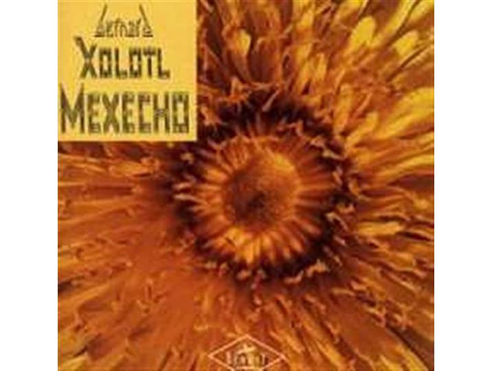 Bernard Xolotl - Mexecho