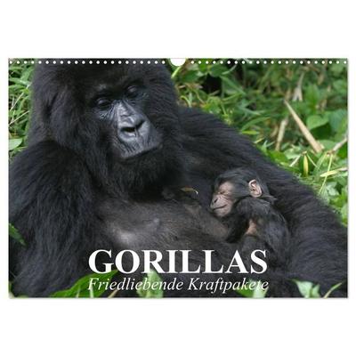 Gorillas. Friedliebende Kraftpakete (Wandkalender 2026 DIN A3 quer), CALVENDO Monatskalender