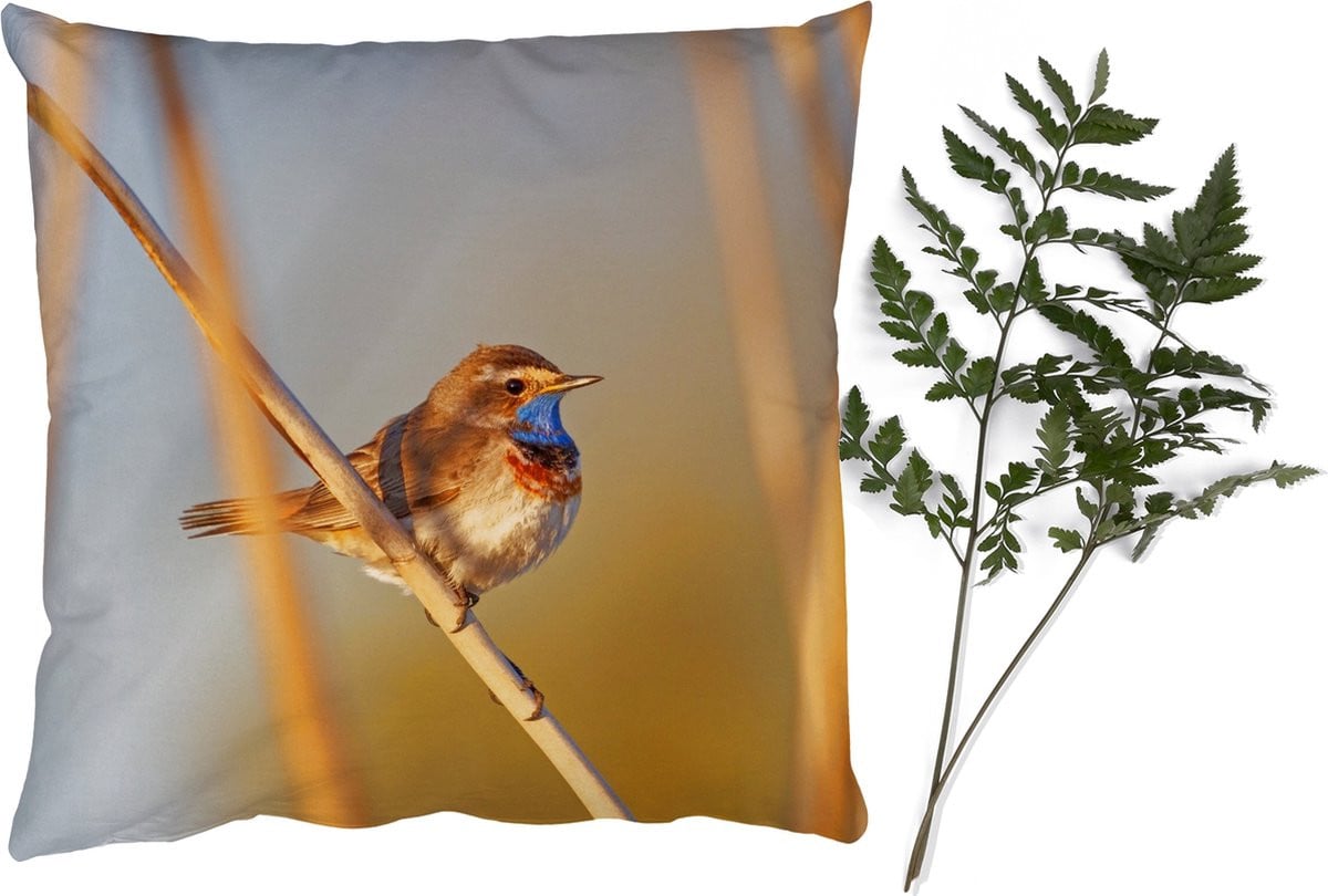 PillowMonkey Sierkussen Vogels Blauwborst Riet - 60 x 60 cm