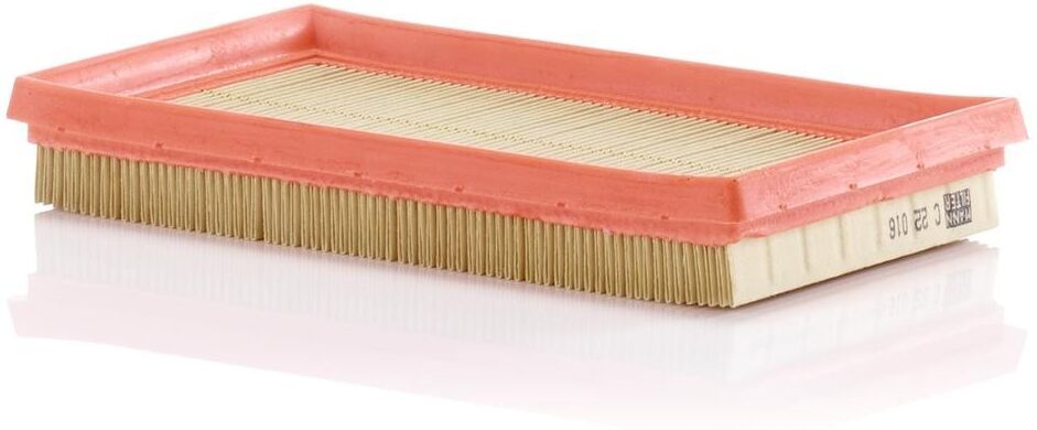 MANN-FILTER C 22 016 Air filter