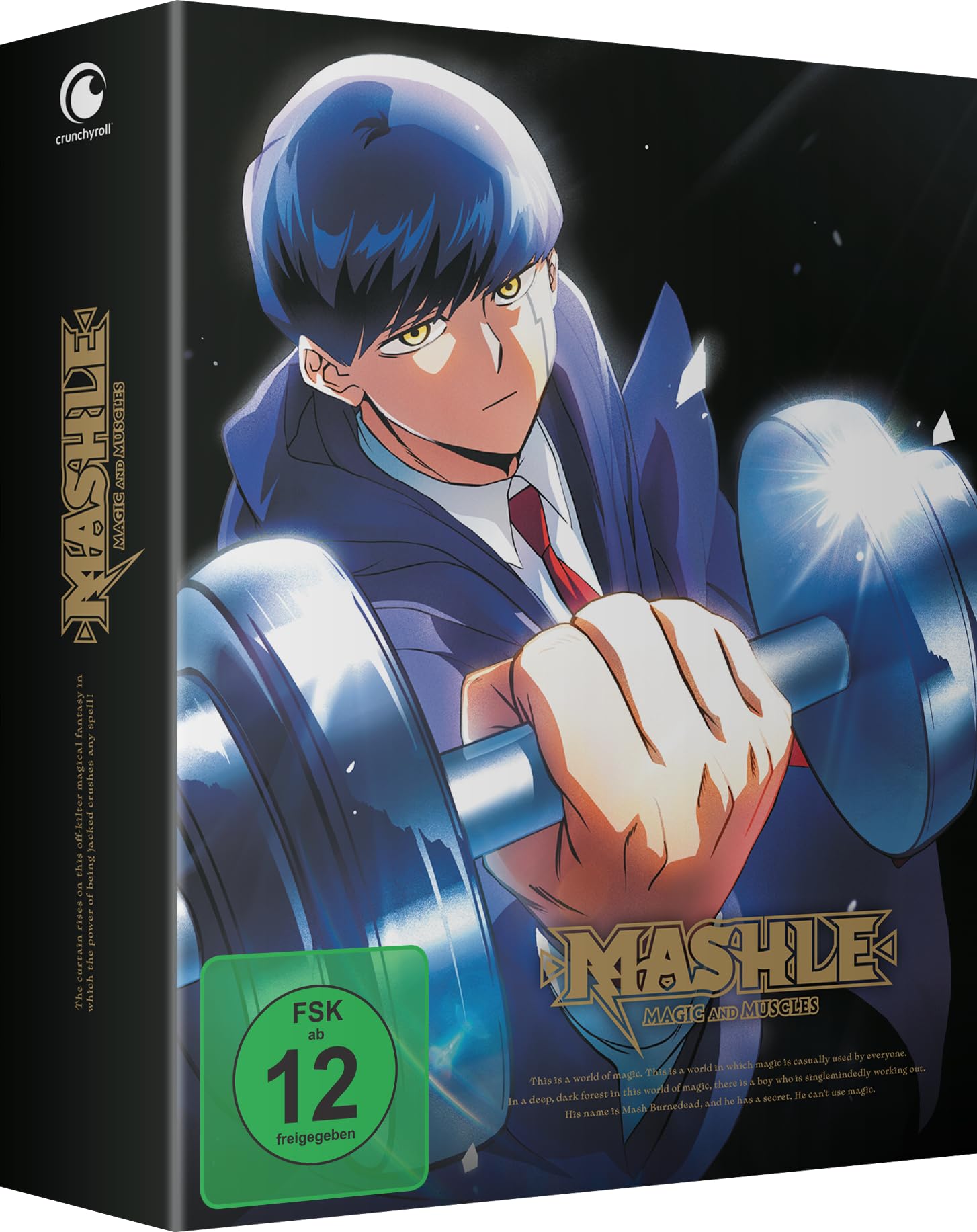 Mashle: Magic and Muscles - Staffel 1 - Part 1 - [DVD] mit Sammelschuber - Preis vom 09.10.2026 07:28:09 h