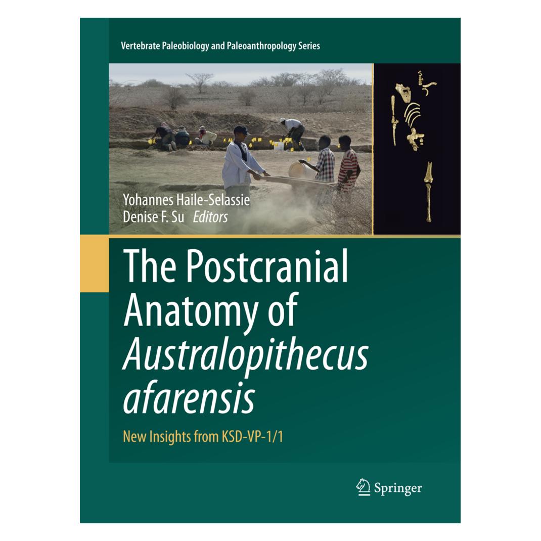 Springer The Postcranial Anatomy of Australopithecus afarensis (Englisch, Softcover, Denise F. Su, Yohannes Haile-Selassie) (56006620)