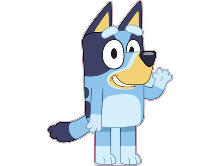 Bluey Knuffel 35 x 27 Fleece Kussen