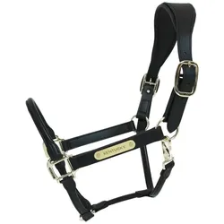 Halfter KY Anatomic black WB
