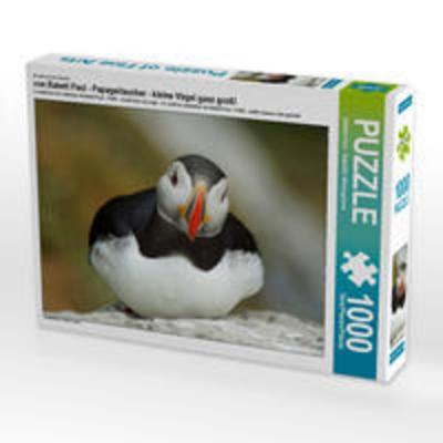 CALVENDO Puzzle von Babett Paul - Papageitaucher - kleine Vögel ganz groß! 1000 Teile Lege-Größe 64 x 48 cm Foto-Puzzle Bild von Babett Paul -