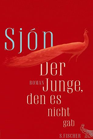 Sjón - Der Junge, den es nicht gab: Roman - Preis vom 14.10.2026 23:07:16 h